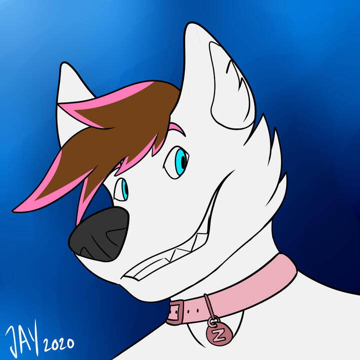 Flat color headshot for Zentiorus (2020)